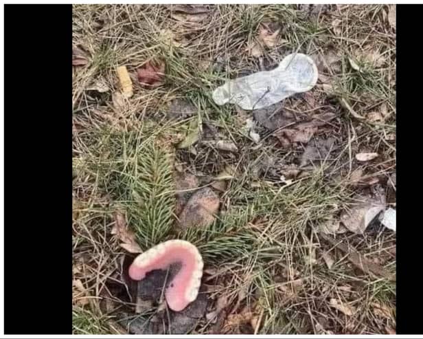 A condom, false teeth and a discarded cigarette end were found in a Doncaster playground.
