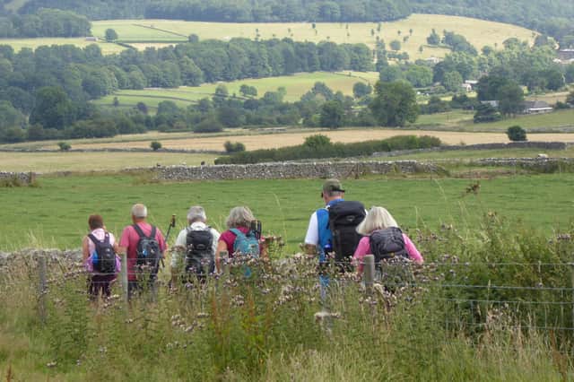 The mosaic fields of English countryside