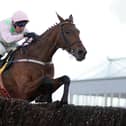 Robbie Power riding Chacun Pour Soi. Photo: Alan Crowhurst/Getty Images