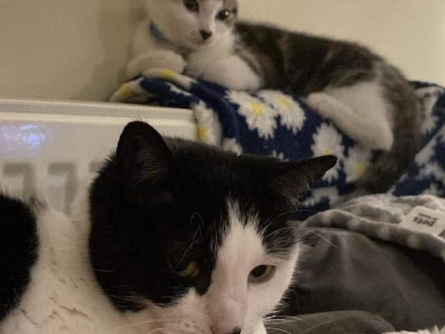 Keeping an eye on things