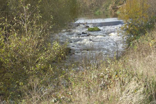 Enjoy a walk along the River Don, thanks to Doncaster Ramblers