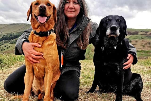 Rachel Bean is giving this advice to Doncaster dog owners - Animal News Agency