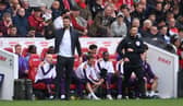 Middlesbrough head coach Michael Carrick (photo by Stu Forster/Getty Images).