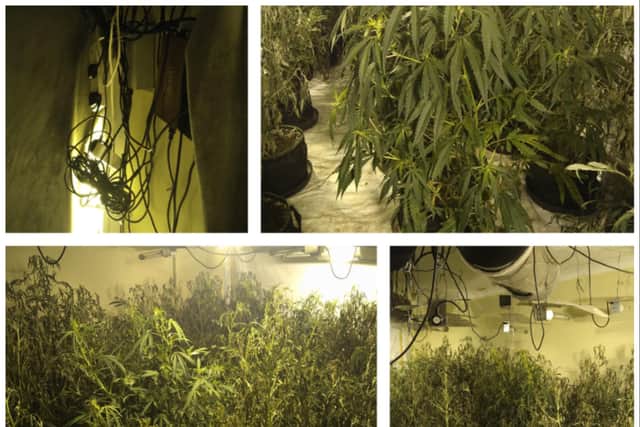 Police busted open the cannabis factory in Dunscroft.