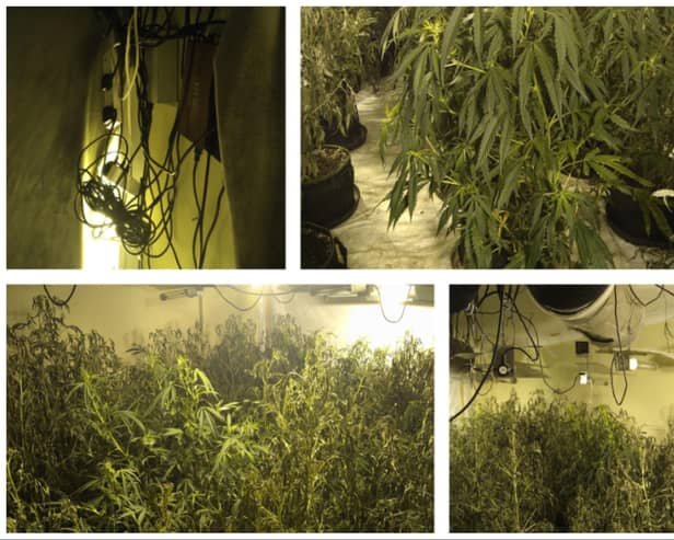 Police busted open the cannabis factory in Dunscroft.