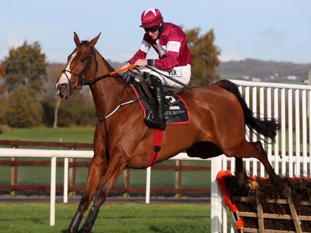 Through his Gigginstown House Stud, owner Michael O'Leary, of Ryanair fame, is responsible for four of Saturday's runners, having won the race three times in the last eight years. This 9yo French-bred was an exciting prospect as a novice chaser but hasn't really recovered his form since a costly fall in a big race at the Cheltenham Festival of 2022.