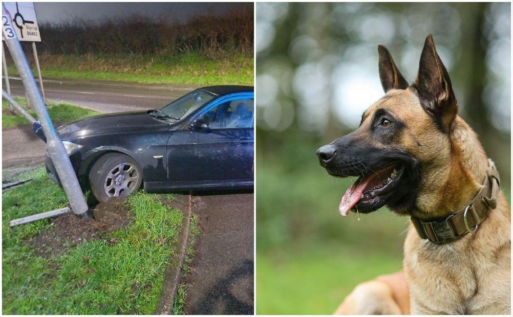 Suspects tracked to house by dog after high speed car chase resuted in ...