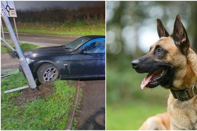 Suspects tracked to house by dog after high speed car chase resuted in ...