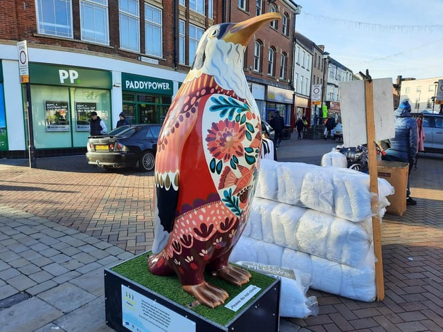 The penguins are bringing a splash of colour to Doncaster this Christmas.