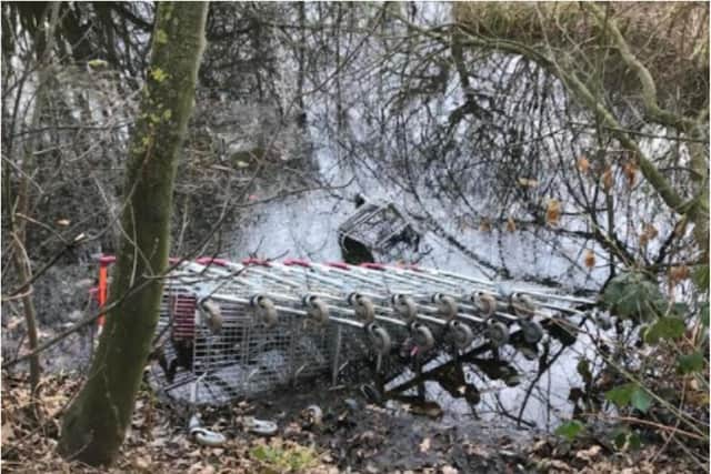 Trolleys have been dumped in a Doncaster pond.