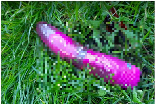 The sex toy was found near to a Doncaster park.