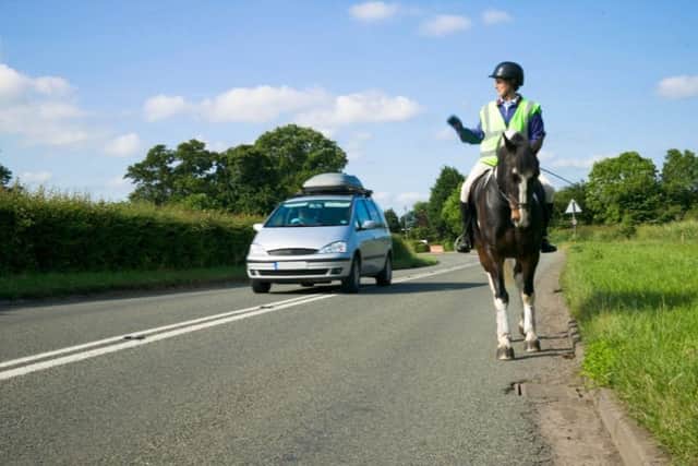 16 horse riders were involved in serious collisions.