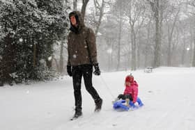 Puled along in the park during the Beast from the East in 2018