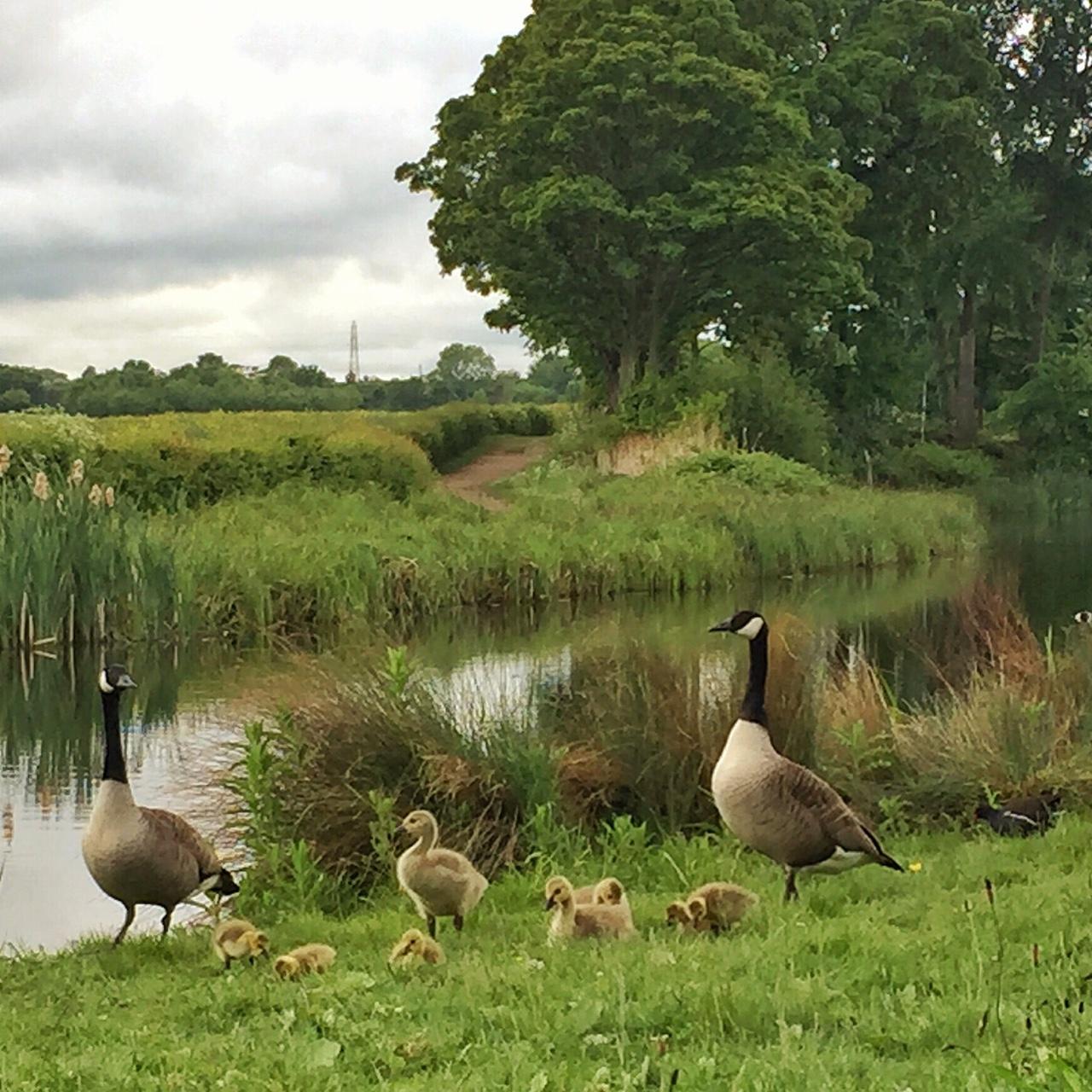 There are so many beautiful hidden gems to discover iand explore in Doncaster - Vimarsana News
