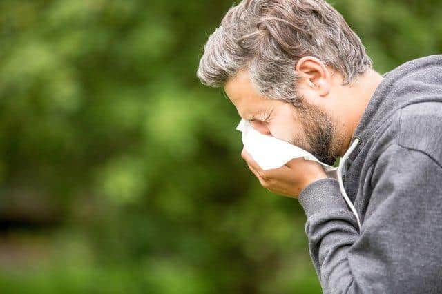 A pollen bomb is set to hit Yorkshire this weekend