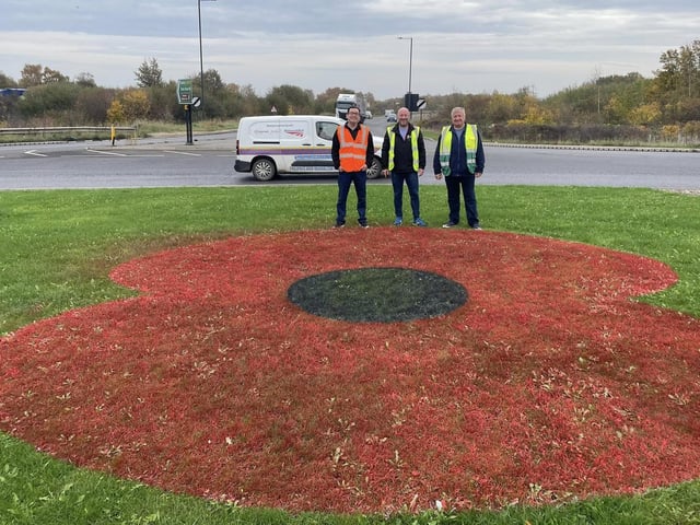 Giant poppies have been sprayed across the borough.
