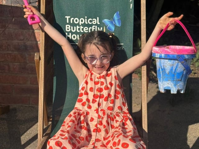 Sandpit and Splash Zone fun at Tropical Butterfly House