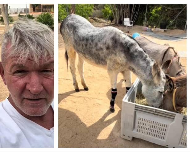 Dan Steel from Thorne is rescuing neglected and injured donkeys in Spain.