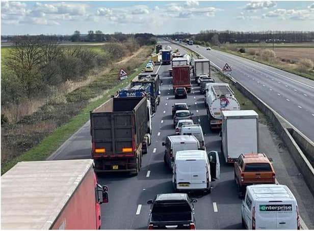 Dead animals have closed the M18 near Doncaster.