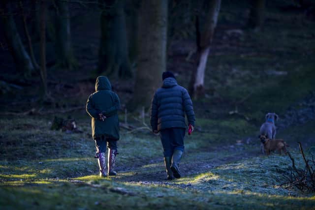 A couple walk their dog through woodlands on a frosty morning - 6th March 2020