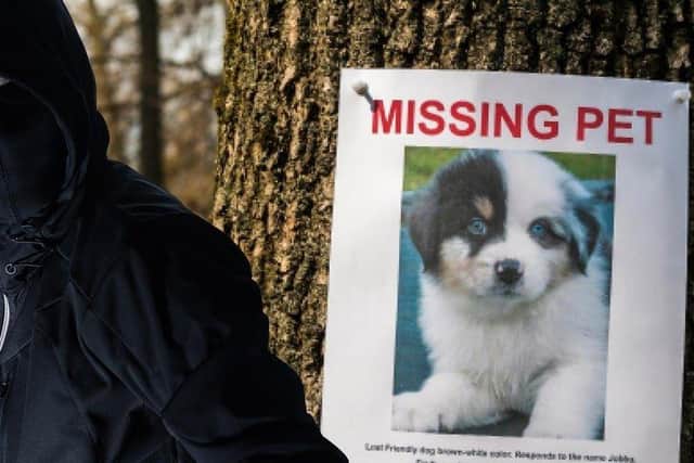 Newly-released figures from Direct Line Pet Insurance reveal that South Yorkshire Police received 82 reports of dog theft in 2020, and 100 in 2021, equating to a year-on-year increase of 22 per cent.