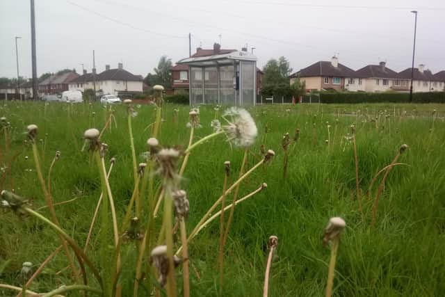 There have been complaints about the length of grass in Doncaster during lockdown.