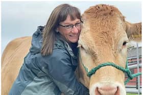 A Doncaster farm is offering people the chance to cuddle cows to relieve stress. (Photo: McNeill's Mill).