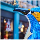 A trail of giant penguins will be waddling into Doncaster this Christmas.  (Photo: Wild In Art).