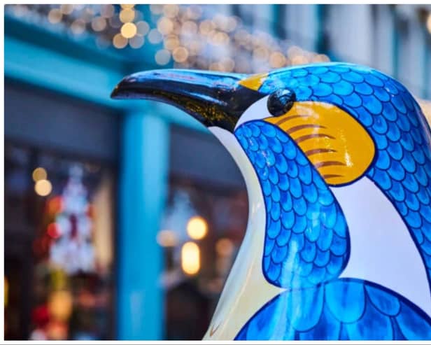 A trail of giant penguins will be waddling into Doncaster this Christmas.  (Photo: Wild In Art).