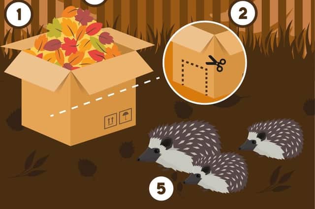 Build your own hedgehog house