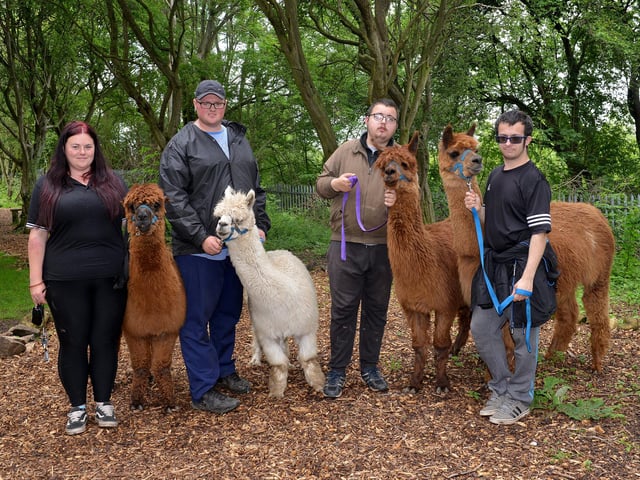Willow Tree Family Farm, in Shirebrook has Alpacas, Reindeer and Wallabies.