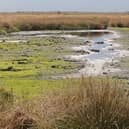 Thorne and Htafield Moors