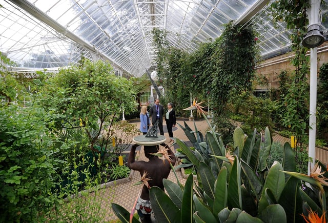 A spokesman for the National Trust said: "Dig out a hardy plant with leaves, keeping as much of the original root ball attached. Use two garden forks, back-to-back, to prize the roots apart".