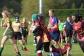 Wheatley Hills Rugby Union Club will be hosting a family fun day this weekend.