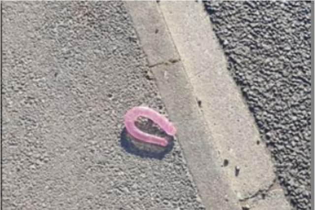 The sex toy was found dumped at the side of Balby Road.