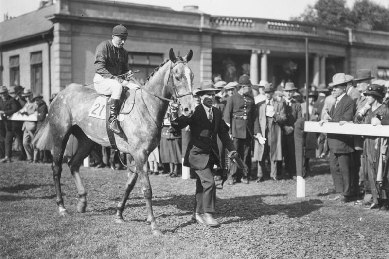 Racehorse 'Mumtaz Mahal' at Doncaster races with George Hulme in September 1923.