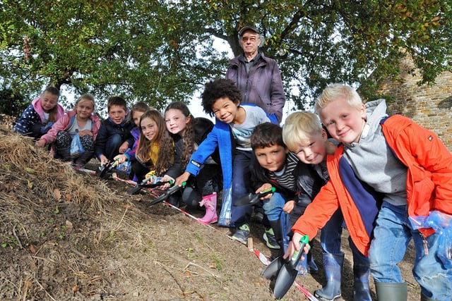 Given the score of 84, this area covers Holymoorside, Cutthorpe, Wingerworth and Holmewood. Pictured is students from Holymoorside primary planting bulbs.
