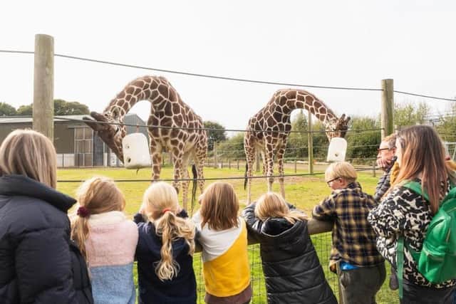 One of the most popular tourist attractions is Doncaster's Yorkshire Wildlife Park.