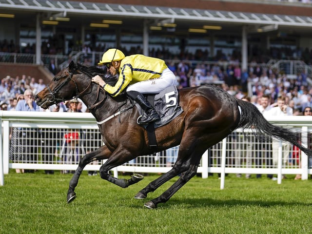 An attempt to stretch his stamina to 1m backfired in the Qipco 2,000 Guineas, but Perfect Power is back to sprinting in the 6f Commonwealth Cup for three-year-olds on Friday, and his explosive turn of foot could prove decisive. Ehraz and Flaming Rib are two dangerous opponents, but trainer Richard Fahey is confident Christophe Soumillion can steer his colt home. (PHOTO BY: Alan Crowhurst/Getty Images)