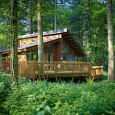 One of the luxurious forest cabins.Image: Forest Holidays