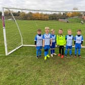 Adwick Park Rangers Under 6s show off their new strip sponsored by SYNETIQ.