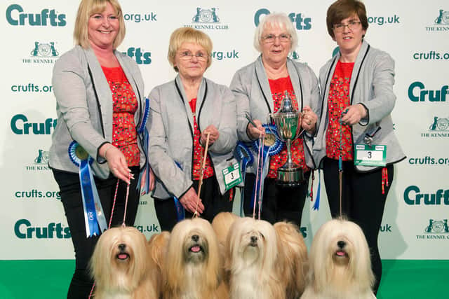 Breeders Competition Final winners Team Timazinti on the second day of Crufts 2020.