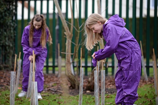 Year Six children pictured in the Forest School. Picture: NDFP-26-01-21-OutwoodWoodlands 4-NMSY