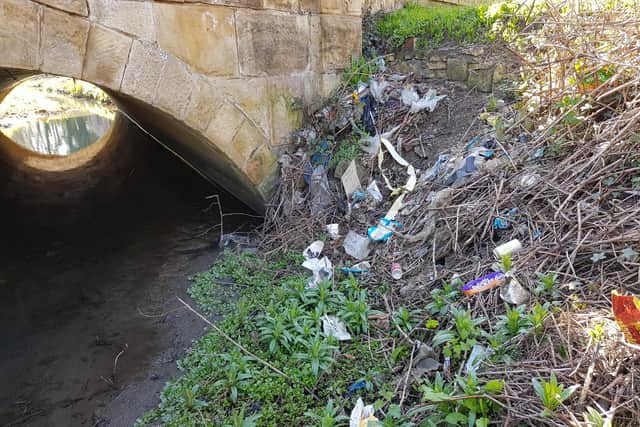 Mill Dike before the litter pick.