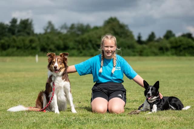 Olivia White and her four-legged best friends, Magic and Mocha the border collies