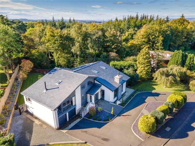 Aerial view of house and grounds.