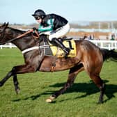 Altior. Photo: Alan Crowhurst/Getty Images