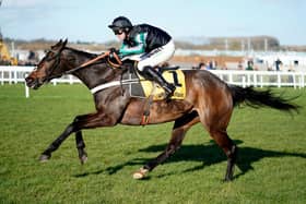 Altior. Photo: Alan Crowhurst/Getty Images