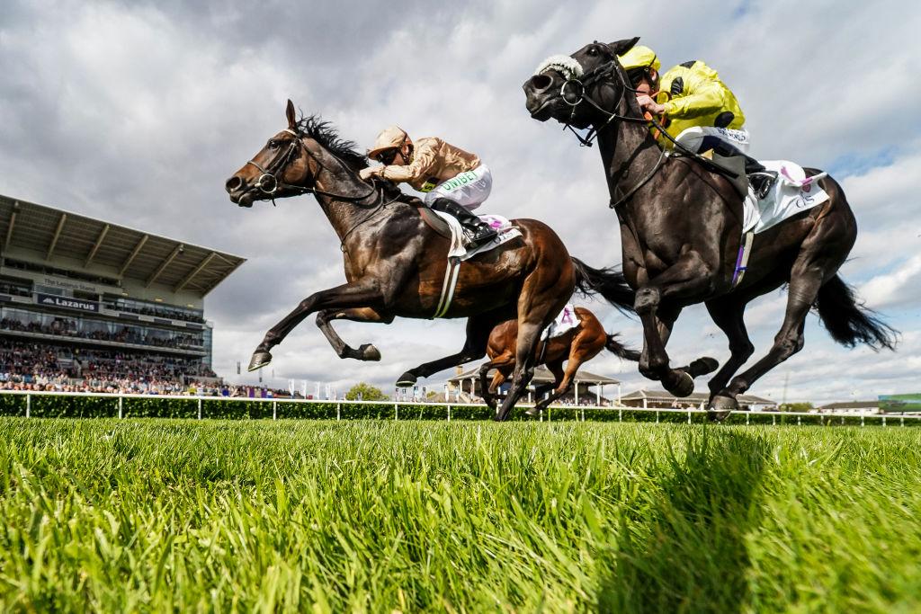 Preview and tips ahead of today's meeting at Doncaster Racecourse