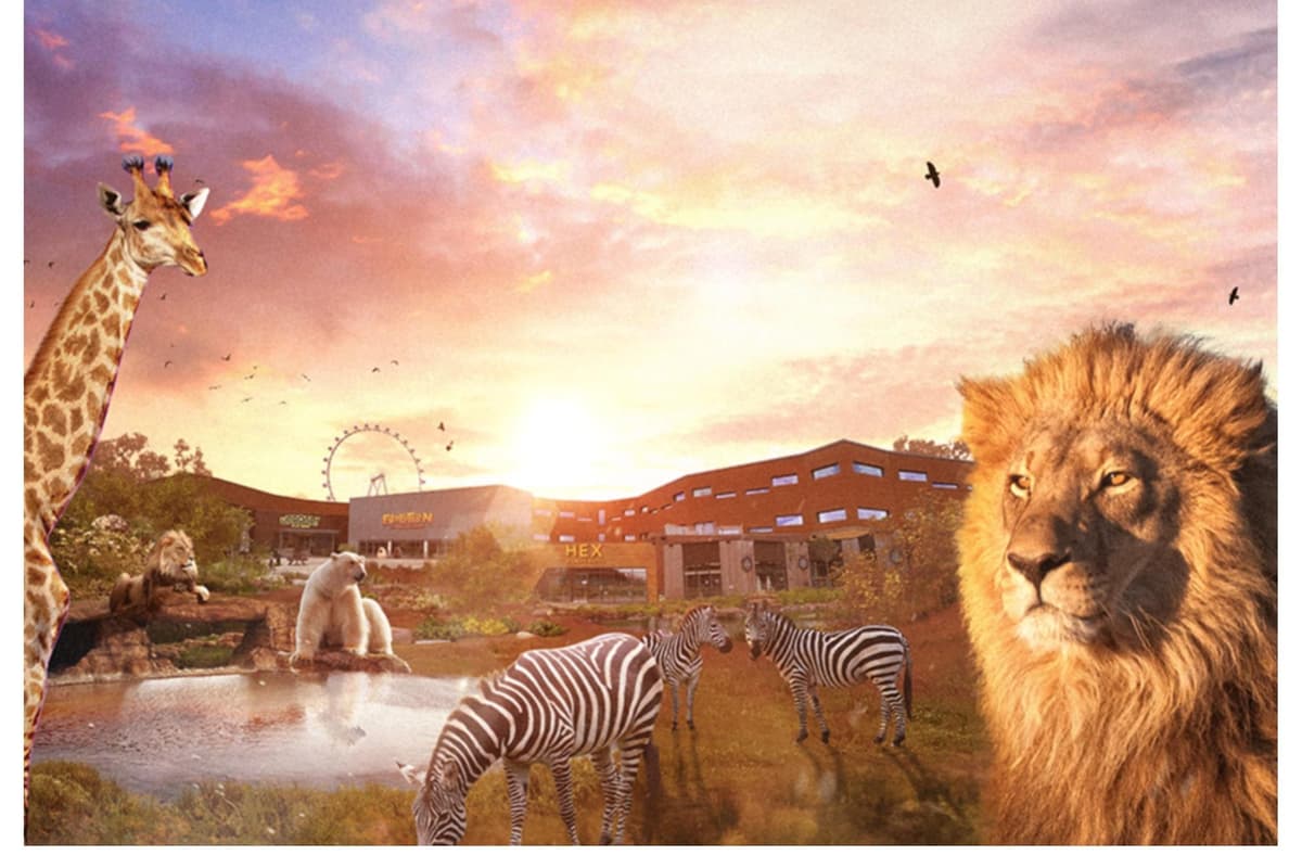 Doncaster's Yorkshire Wildlife Park to host sunset safaris this summer